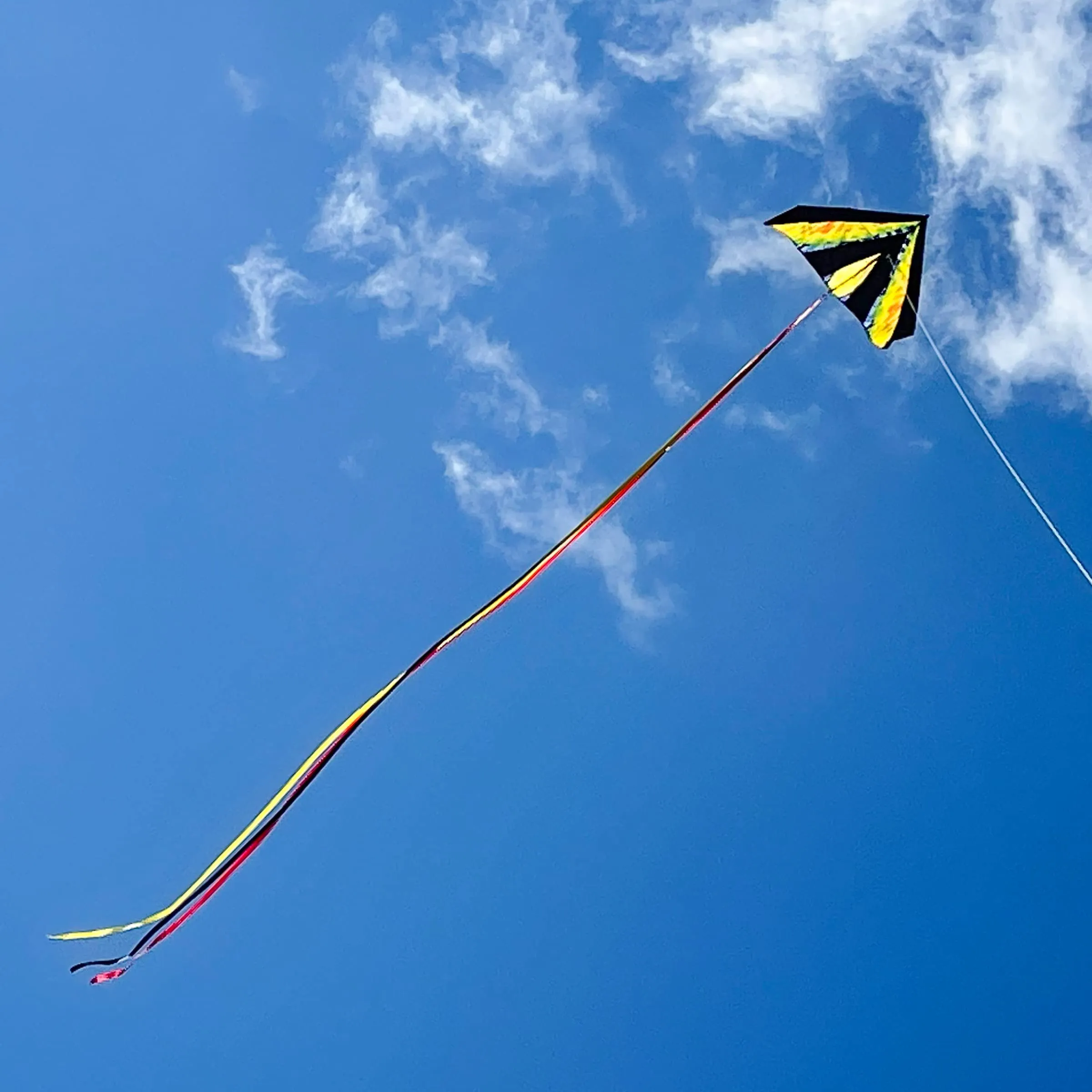 48" Delta Kite - Tie Dye