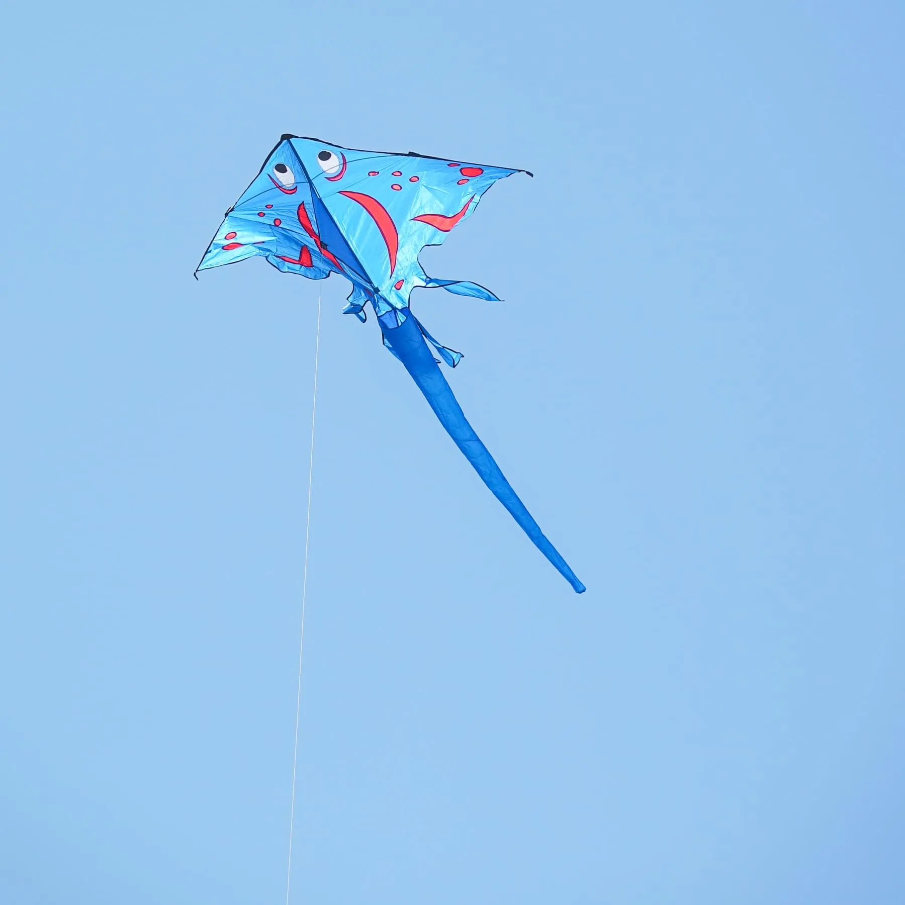 72" Stingray Kite - Blue