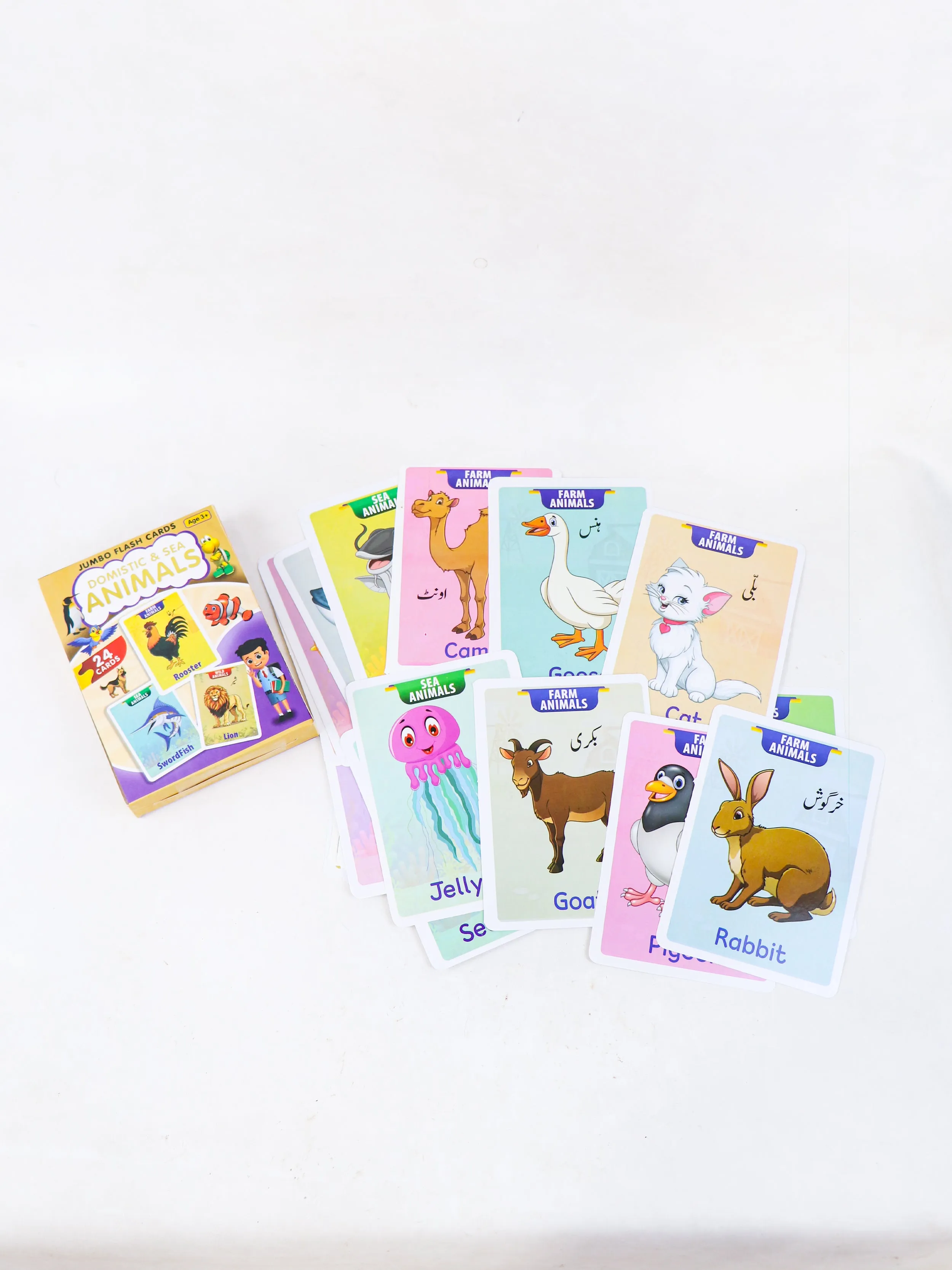 Animals 24 Jumbo Flash Cards