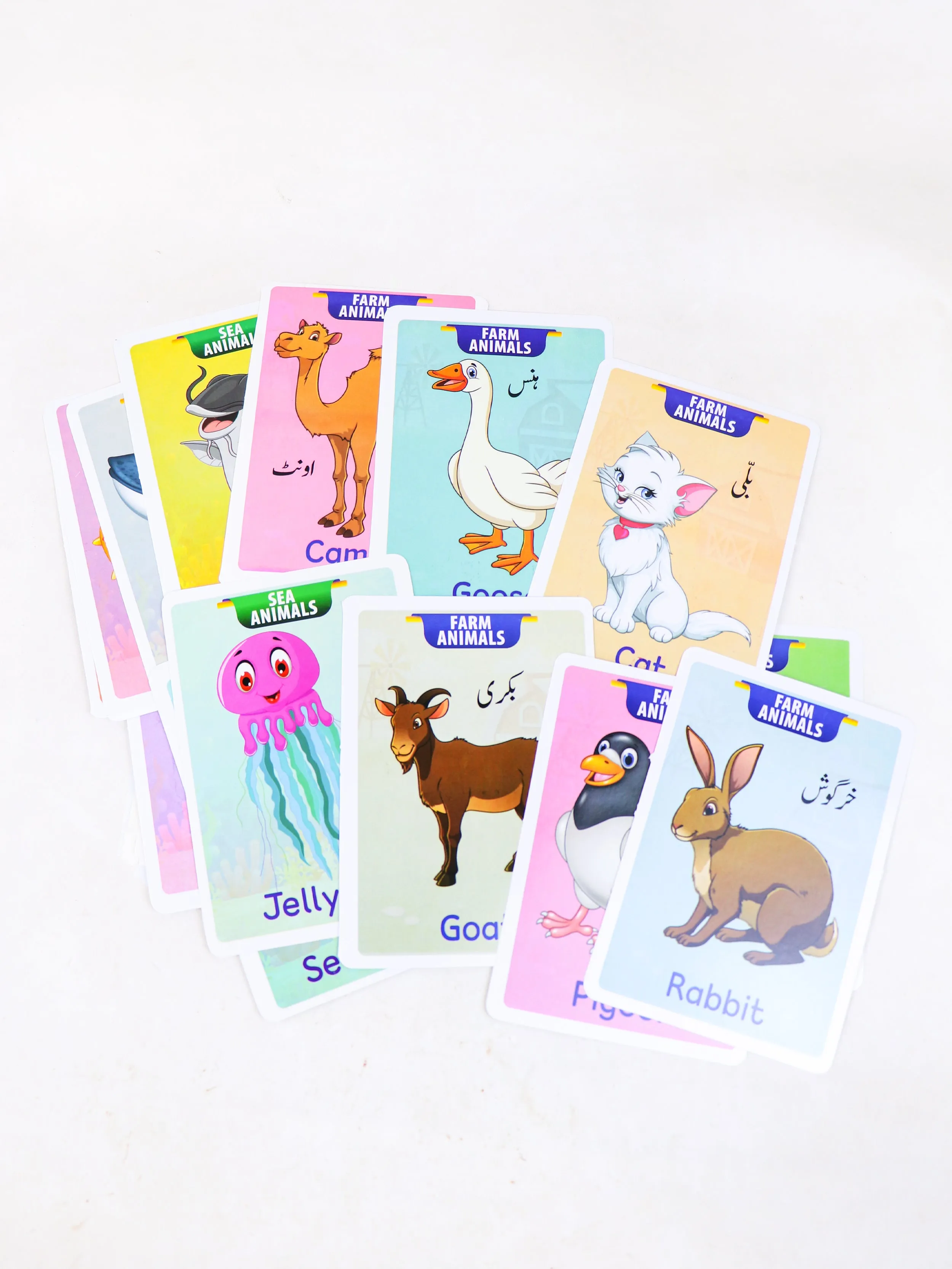 Animals 24 Jumbo Flash Cards