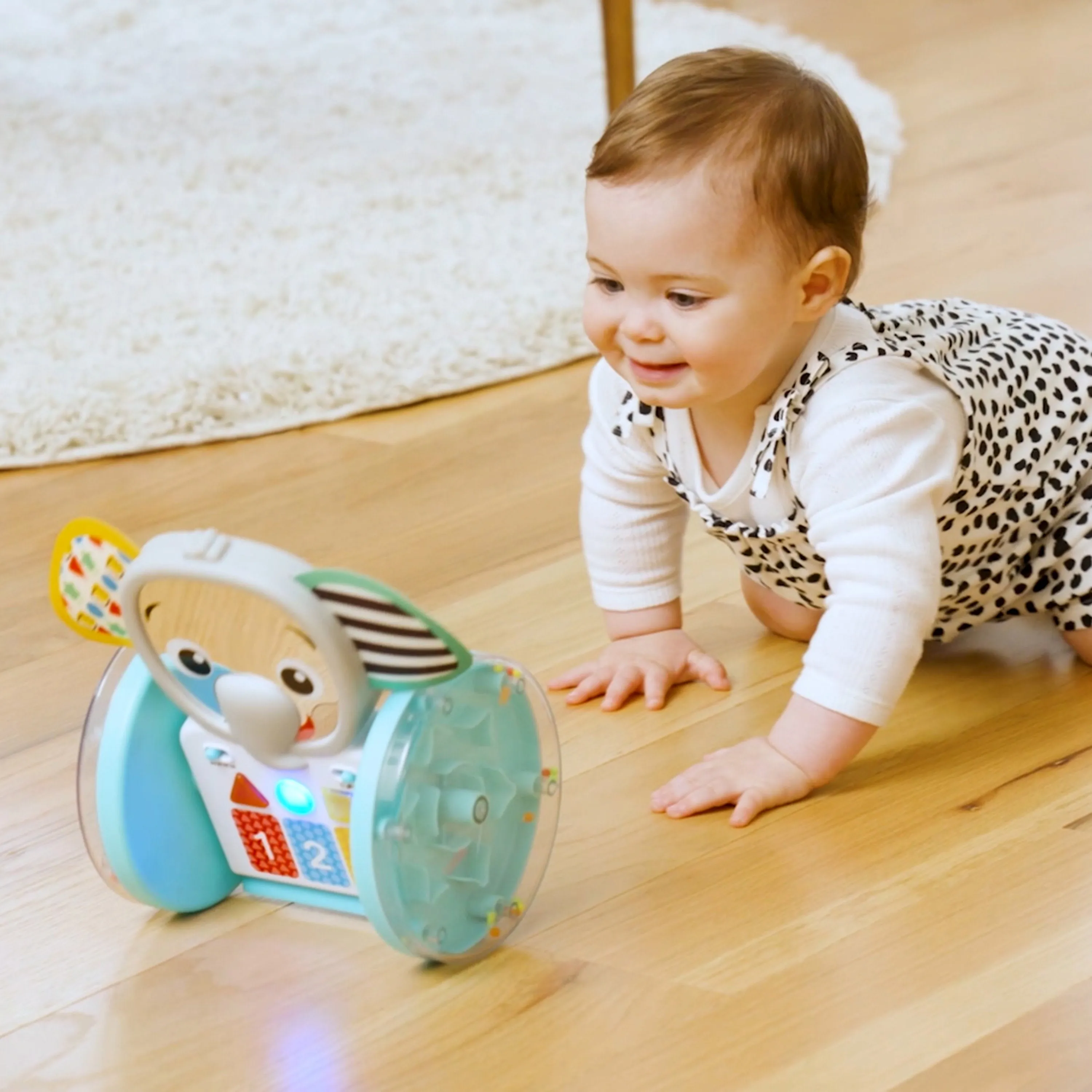 Baby Einstein Chase & Tap Earl Crawling Baby Toy