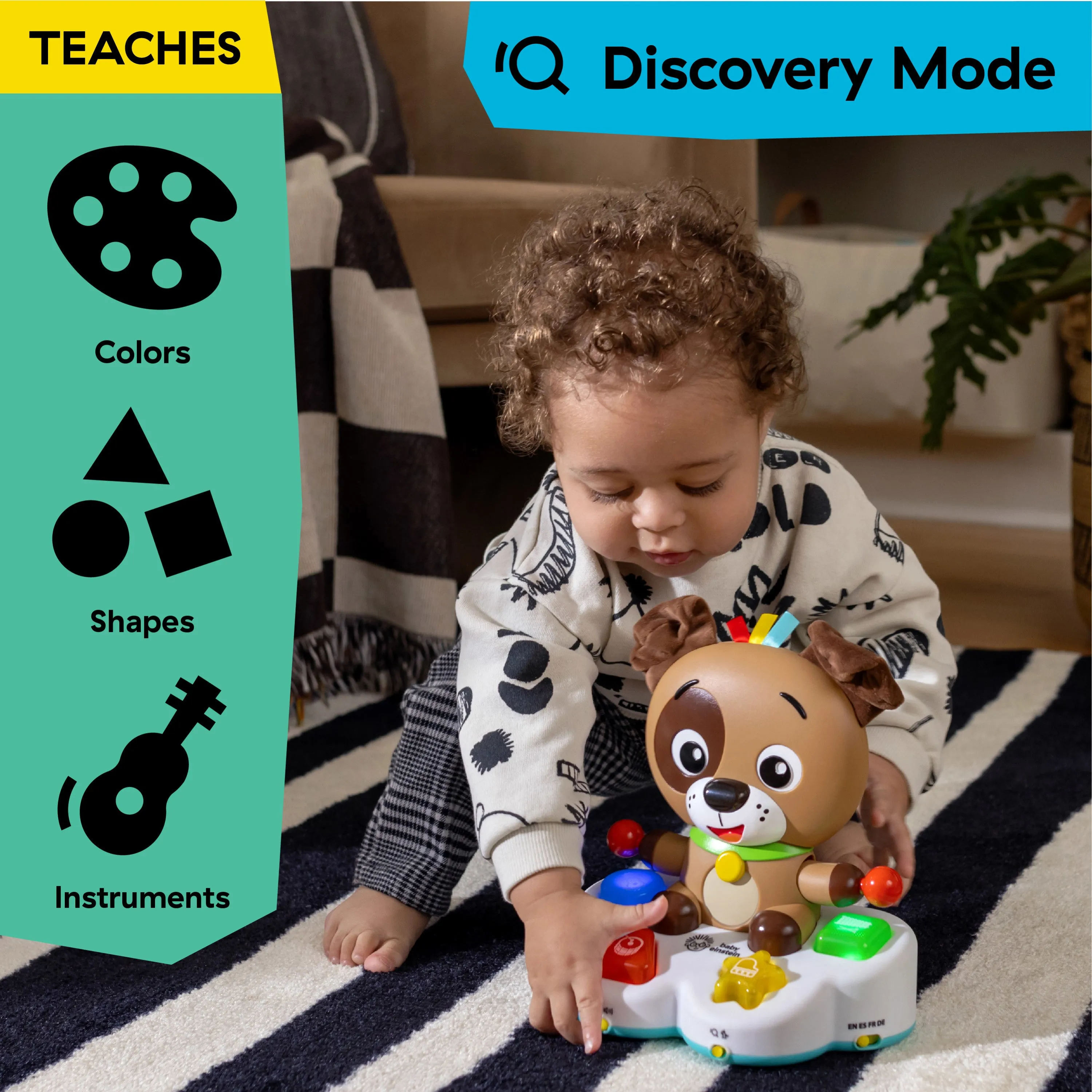 Baby Einstein Musical Learning Toy: Learn & Drum Dean, Suitable for Infants Aged 6  Months