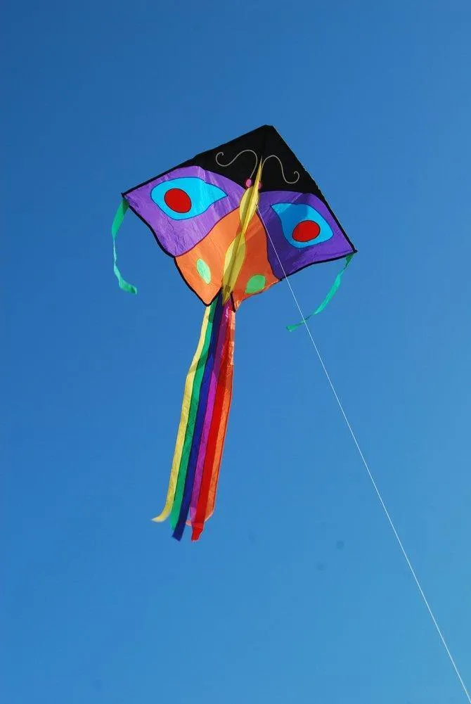 Butterfly Large Easy Flyer Kite - Purple & Orange