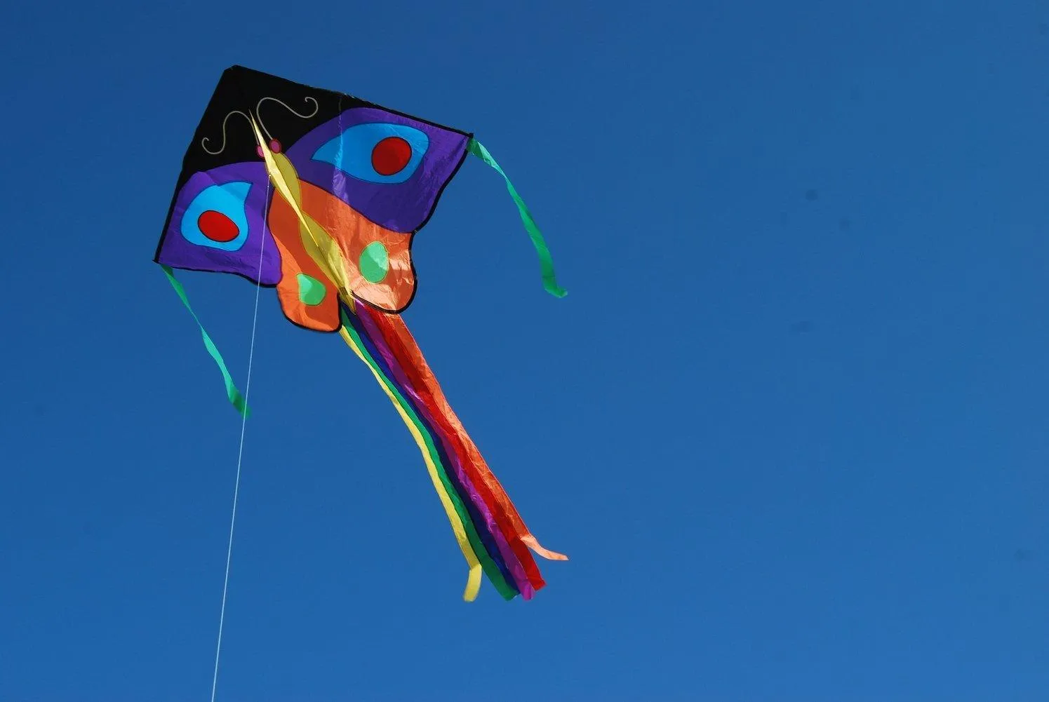 Butterfly Large Easy Flyer Kite - Purple & Orange