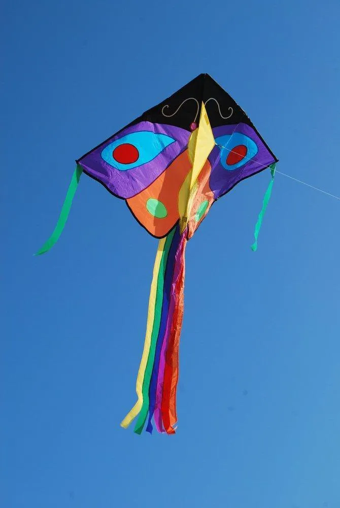 Butterfly Large Easy Flyer Kite - Purple & Orange