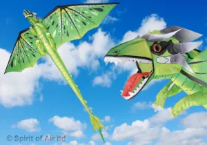 Dragon kite EMERALD GREEN with 195cm wingspan