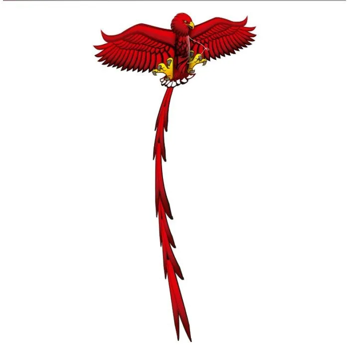 Eolo KITES READY 2 FLY - POP UP - 3D EAGLE