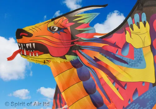 Fusion dragon single line kite in red