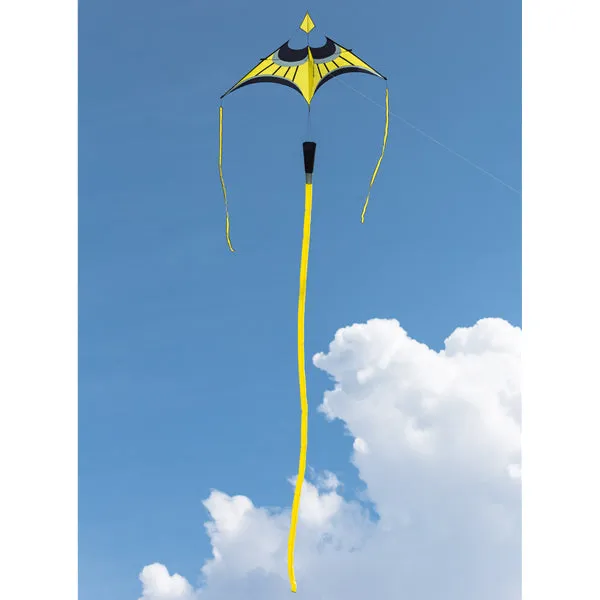 Hoffmann's Canard Delta Kite