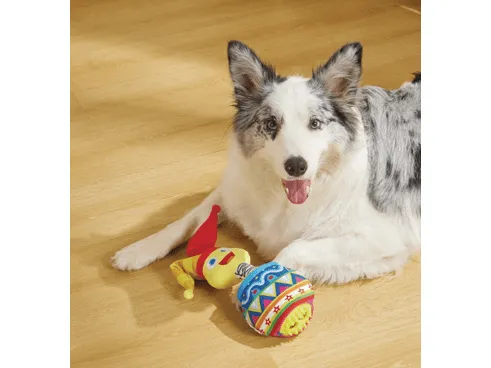 Joyful Snack Attack Dog Toy - Jester