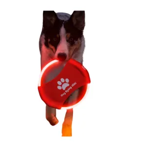 LED Light-Up Dog Flying Discs