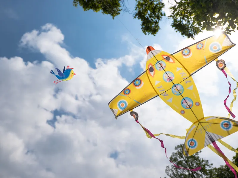 Maxi Plane Children's Kite - Djeco