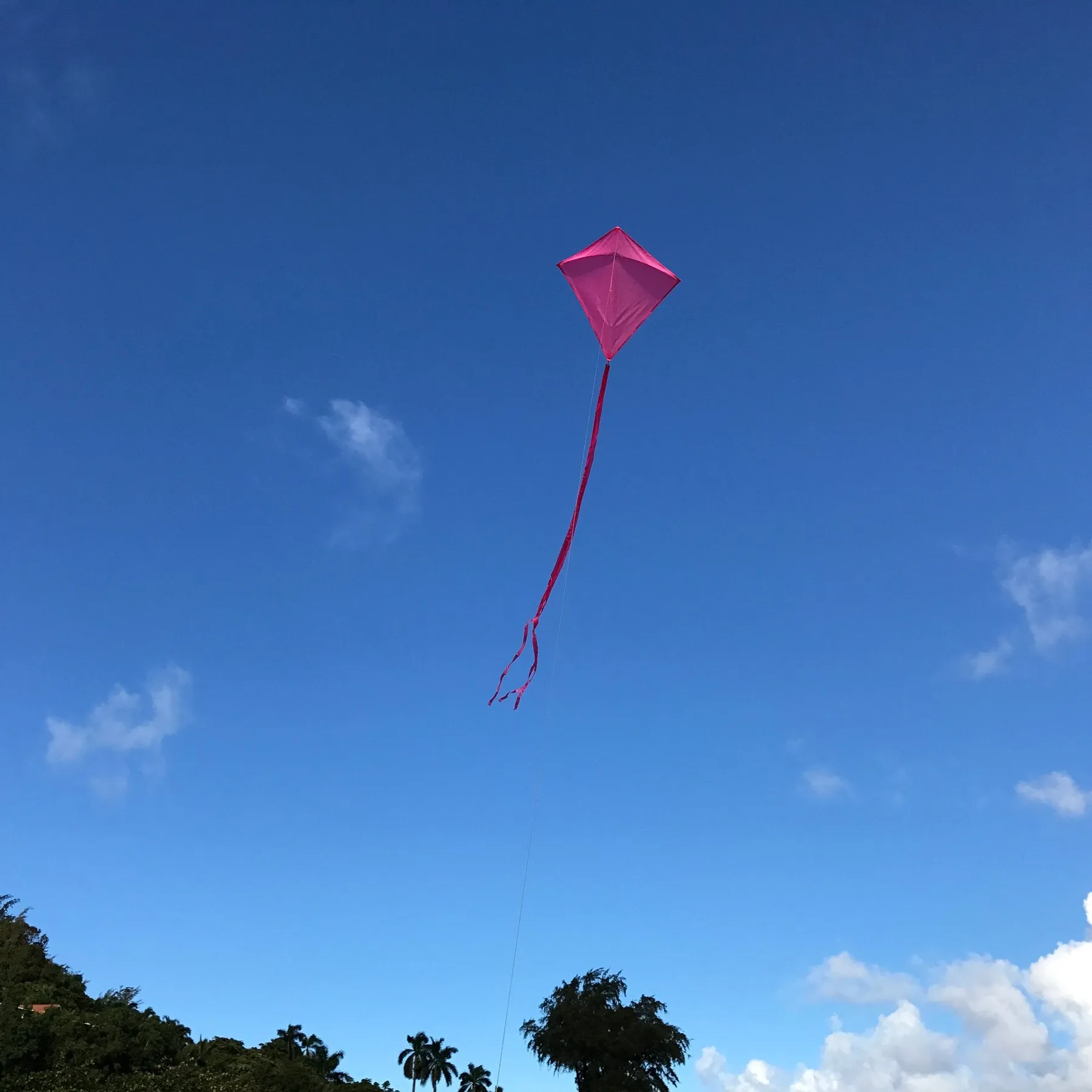 Pink 30" Diamond Kite