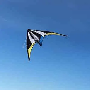 Stunt Kite - blue white black