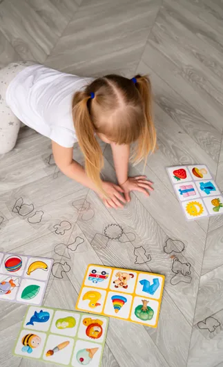 Toddler Puzzles for 2  Years - LOTTO Find a Pair with Transparent Plastic Flash Cards - 6 Fields, 36 Cards - Montessori Education